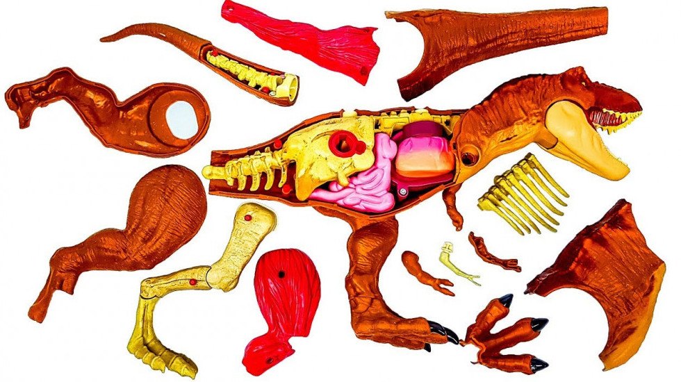 Jurassic World T-Rex STEM Anatomy Kit